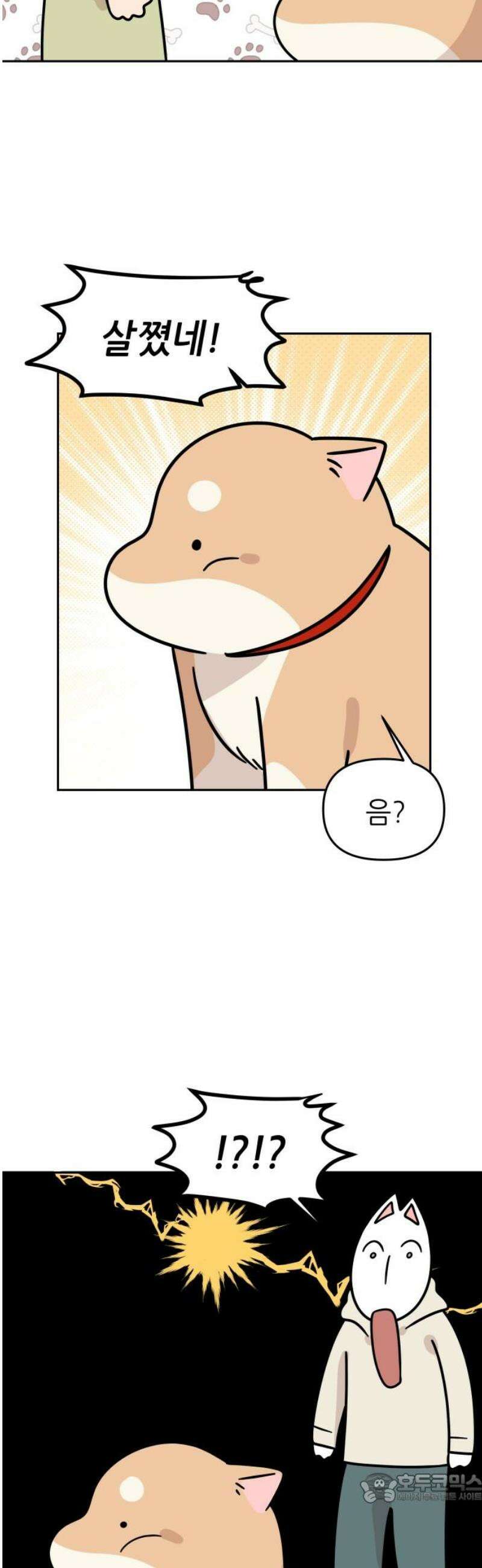 시바, 만만치 않다 50화 포동포동 4