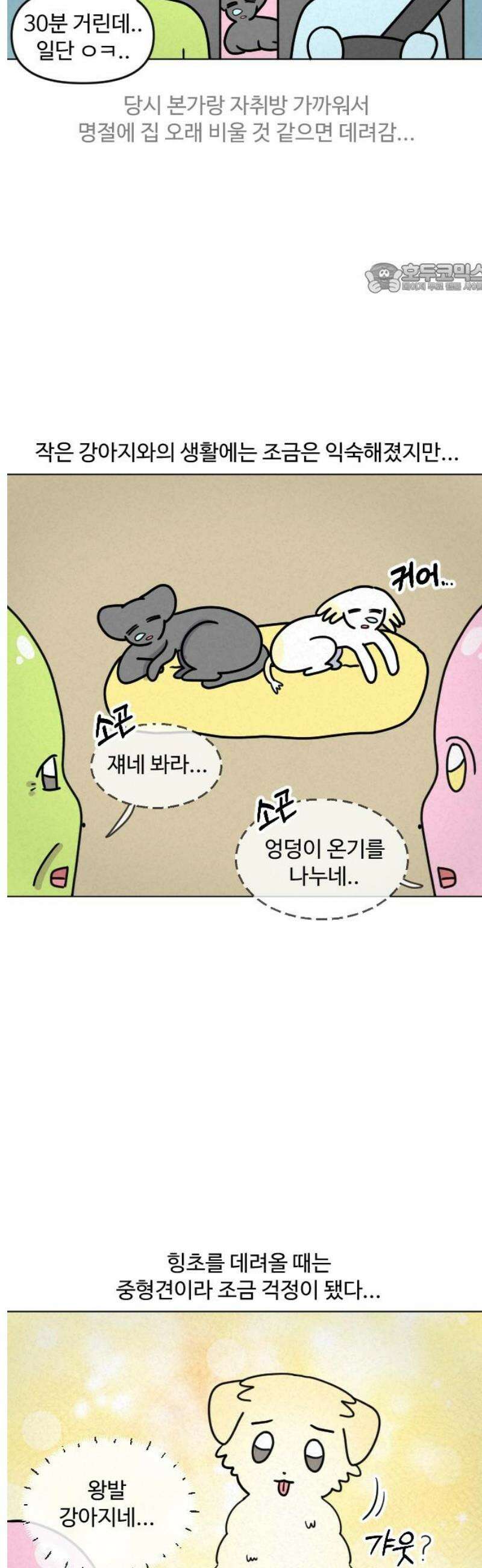 쌉초의 난 132화 냥초와 힝초1 2
