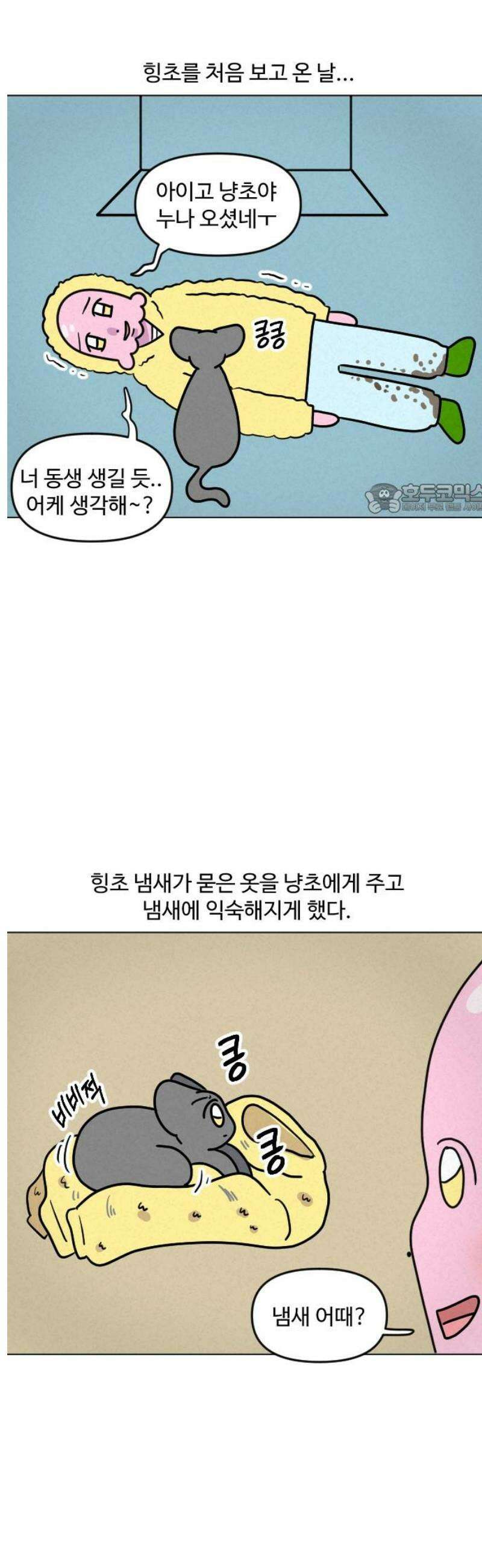 쌉초의 난 132화 냥초와 힝초1 4