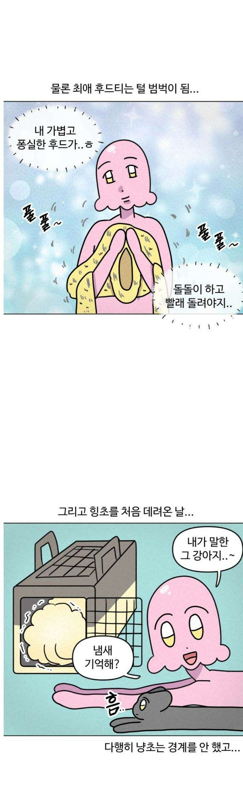 쌉초의 난 132화 냥초와 힝초1 5