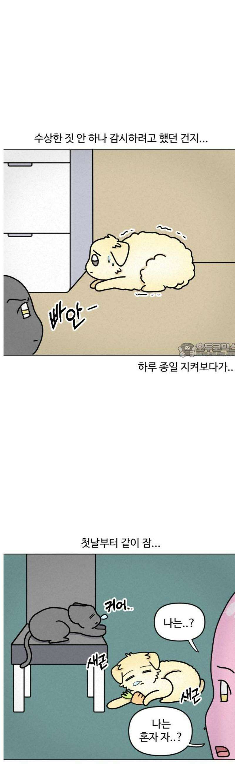 쌉초의 난 132화 냥초와 힝초1 6