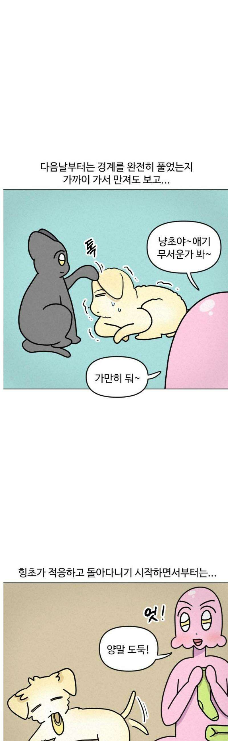 쌉초의 난 132화 냥초와 힝초1 7