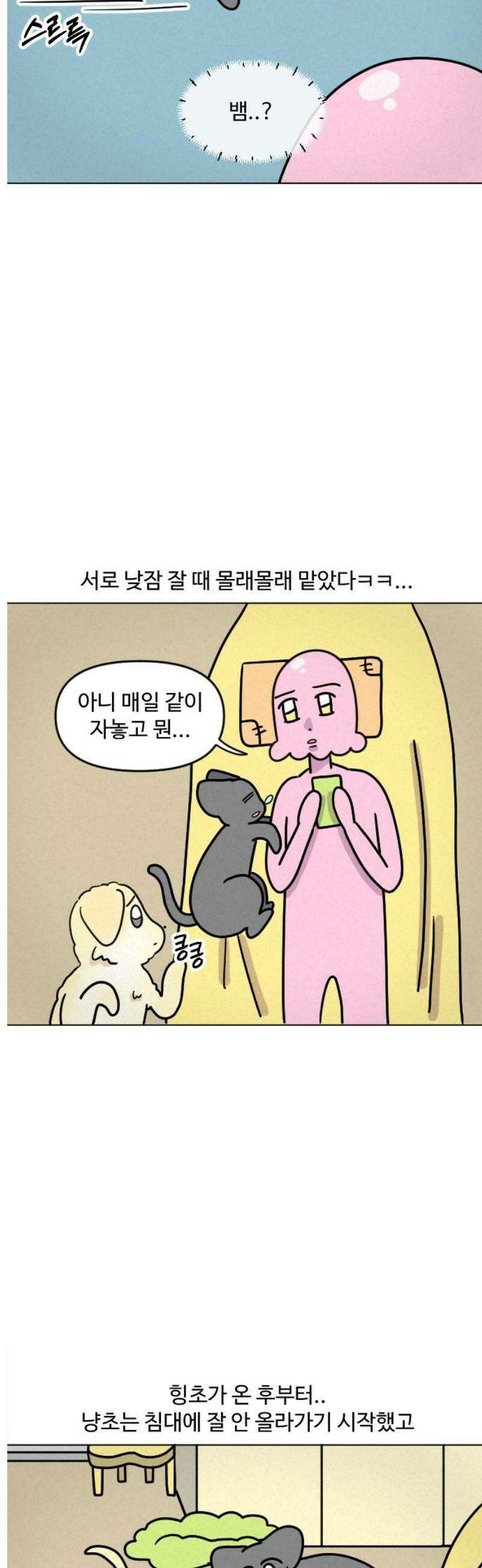 쌉초의 난 132화 냥초와 힝초1 9