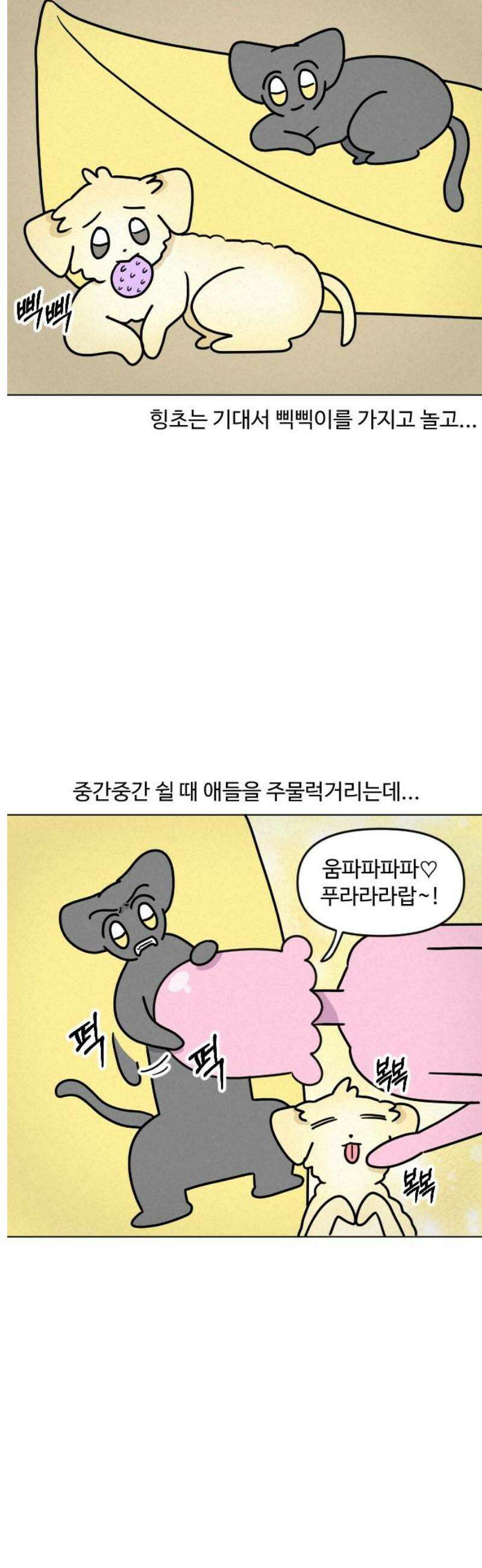 쌉초의 난 132화 냥초와 힝초1 11