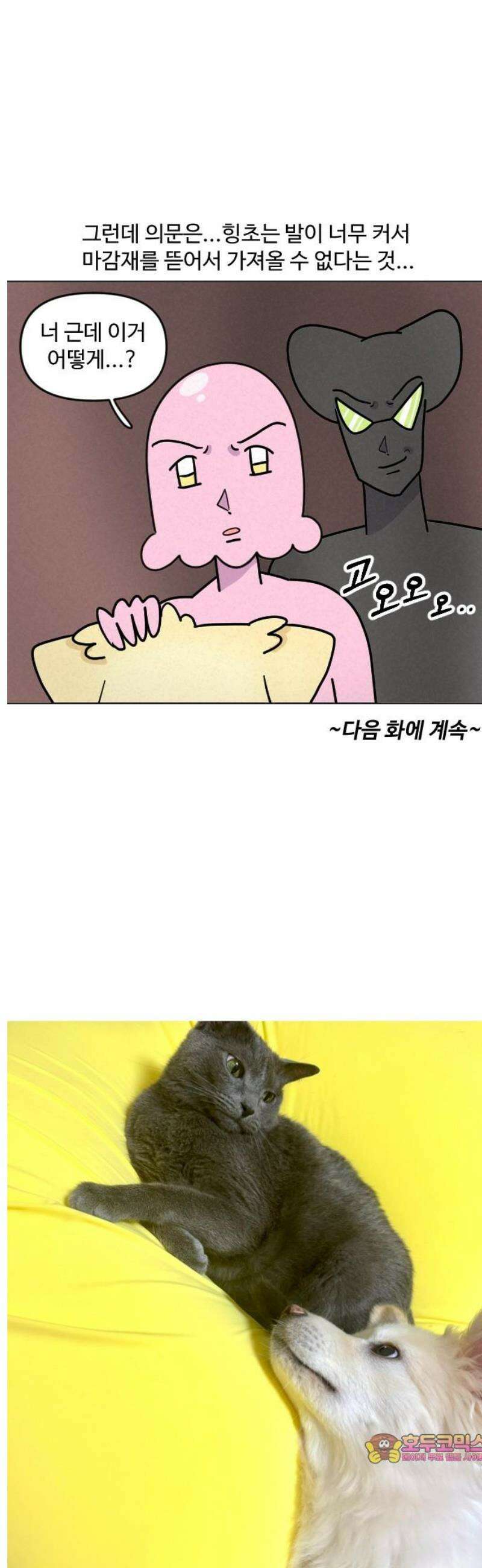 쌉초의 난 132화 냥초와 힝초1 14