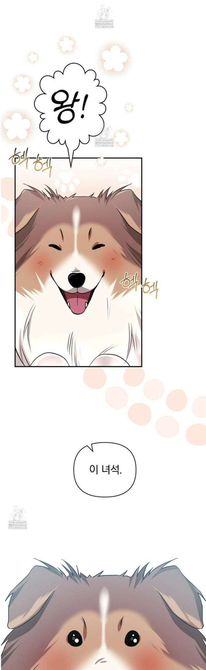 절대복수선언 10화 11
