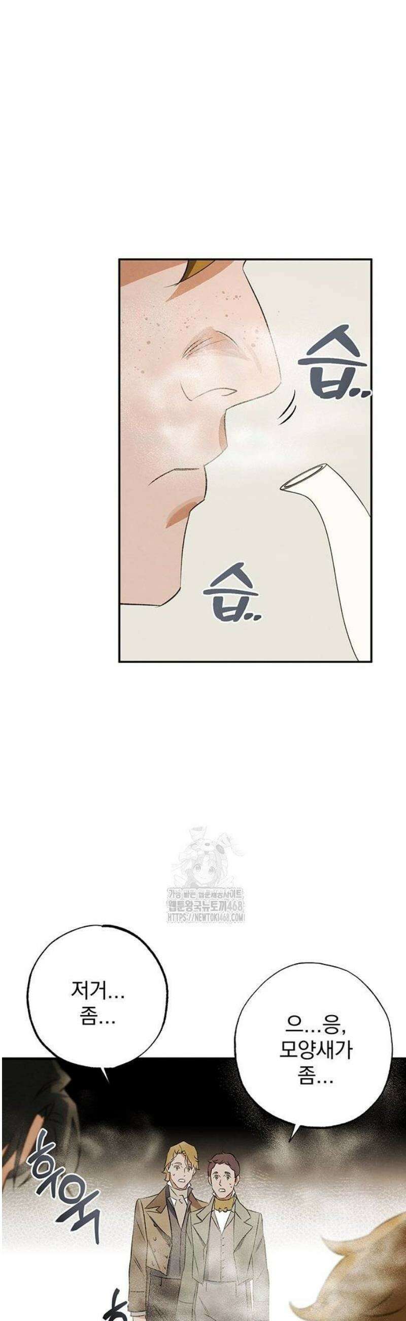 검은 머리 영국 의사 27화 망치와 정과 축농증 (1) 5