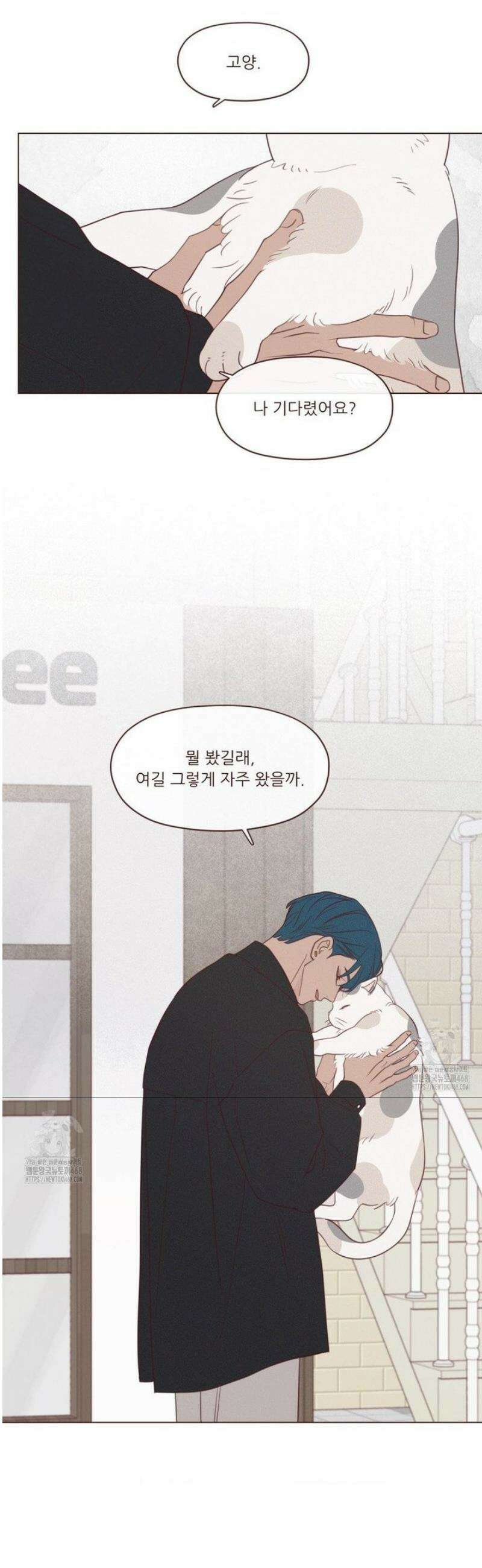 도깨비도 수풀이 있어야 모인다 140화 4