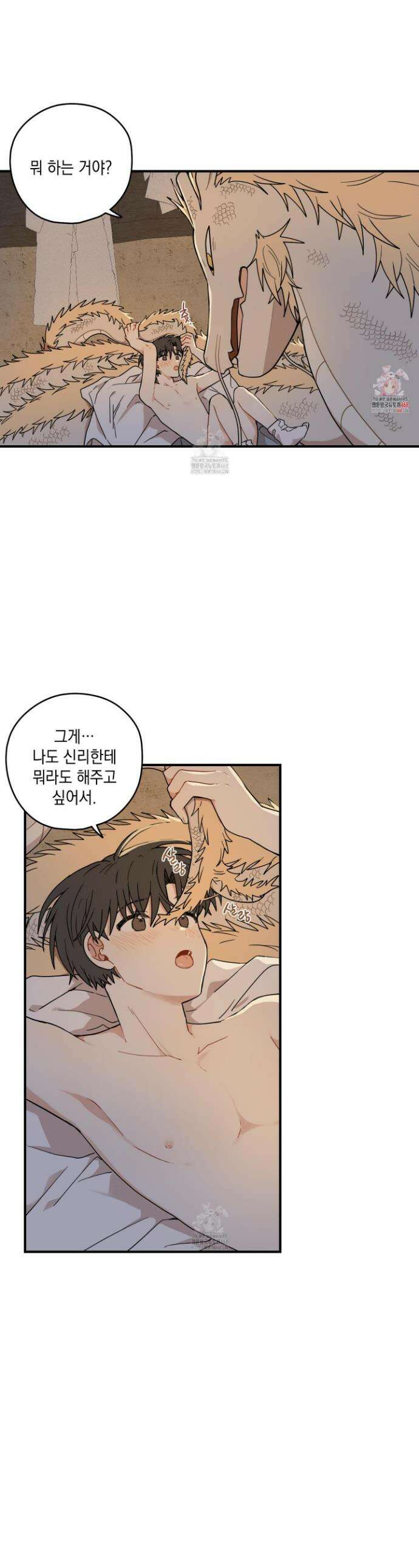 개나리가 떨어진 길 91화 1