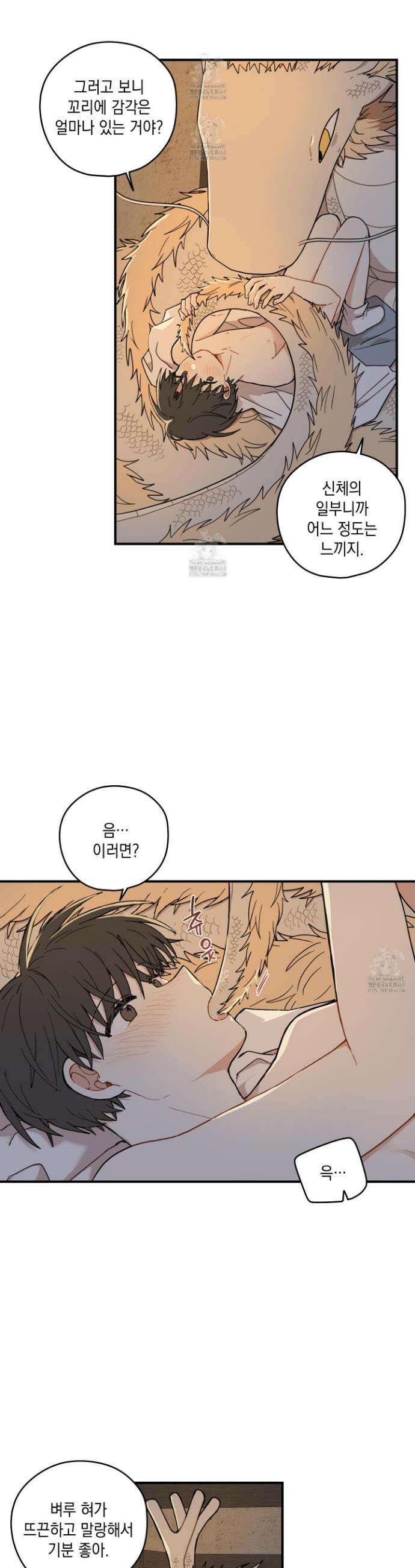 개나리가 떨어진 길 91화 2