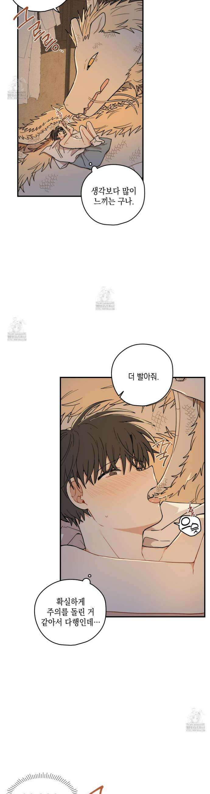 개나리가 떨어진 길 91화 3