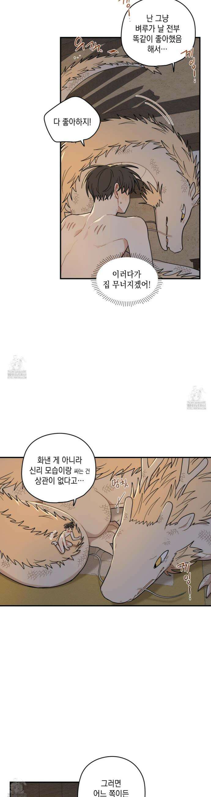 개나리가 떨어진 길 91화 13