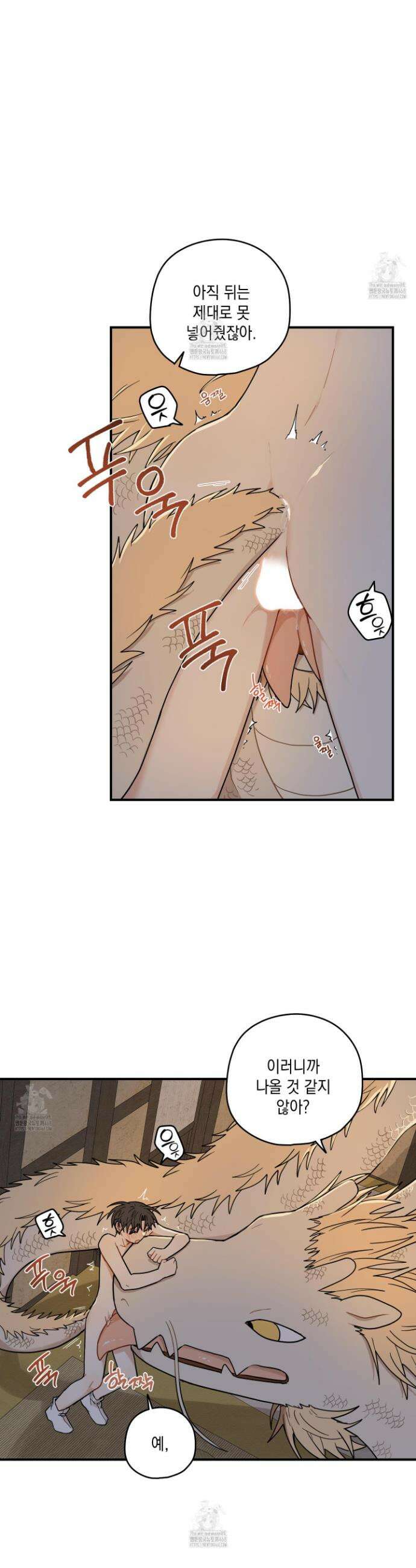 개나리가 떨어진 길 91화 17