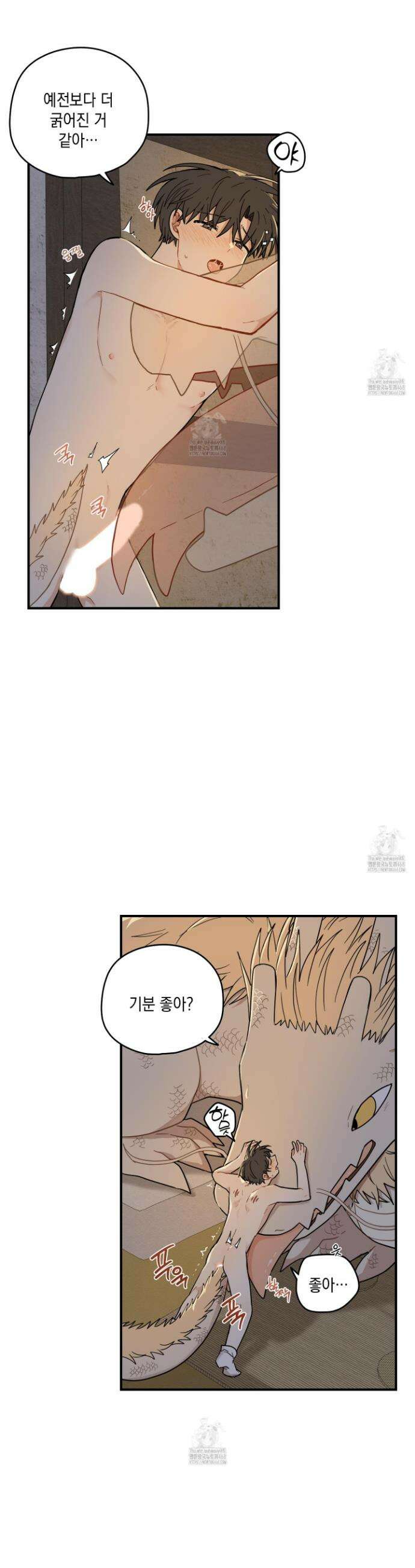 개나리가 떨어진 길 91화 18