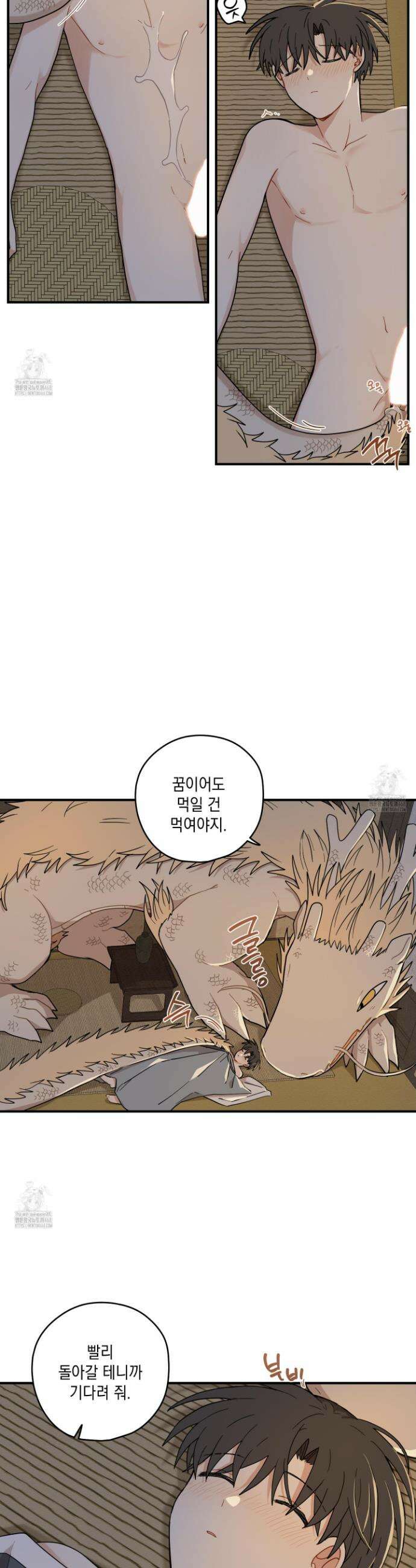 개나리가 떨어진 길 91화 26