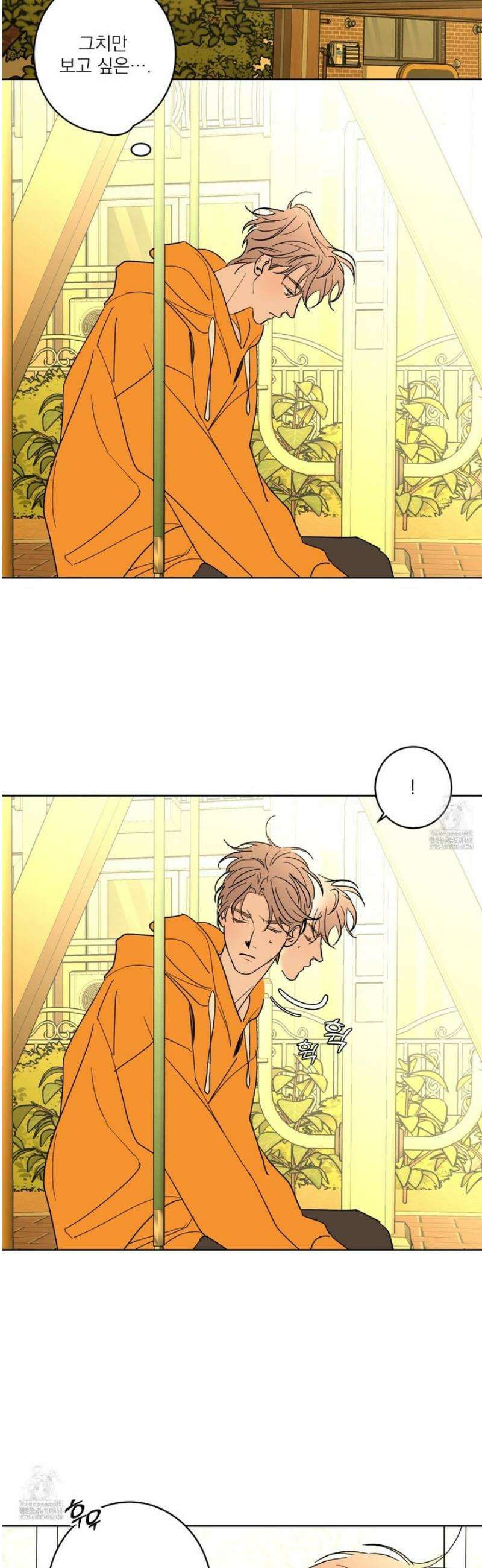 볶은 콩에 싹이 날까? 108화 18