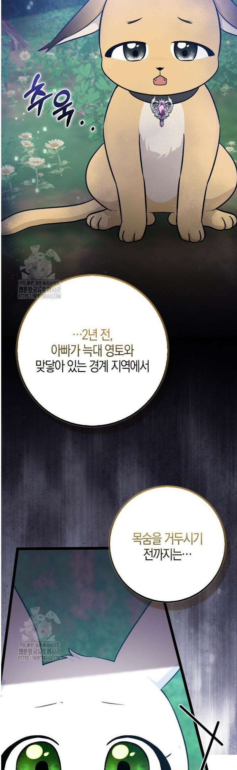 토끼라뇨, 누가 봐도 맹수인데 32화 12