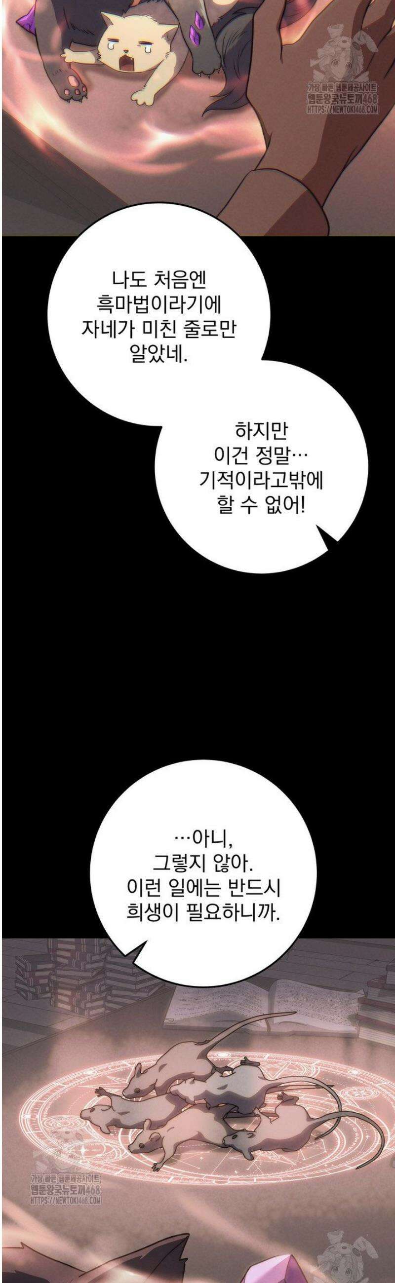 강철대제 52화 17