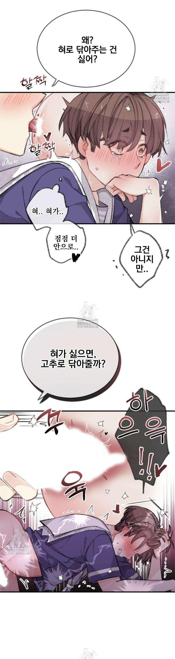 미스터 베타 87화 13