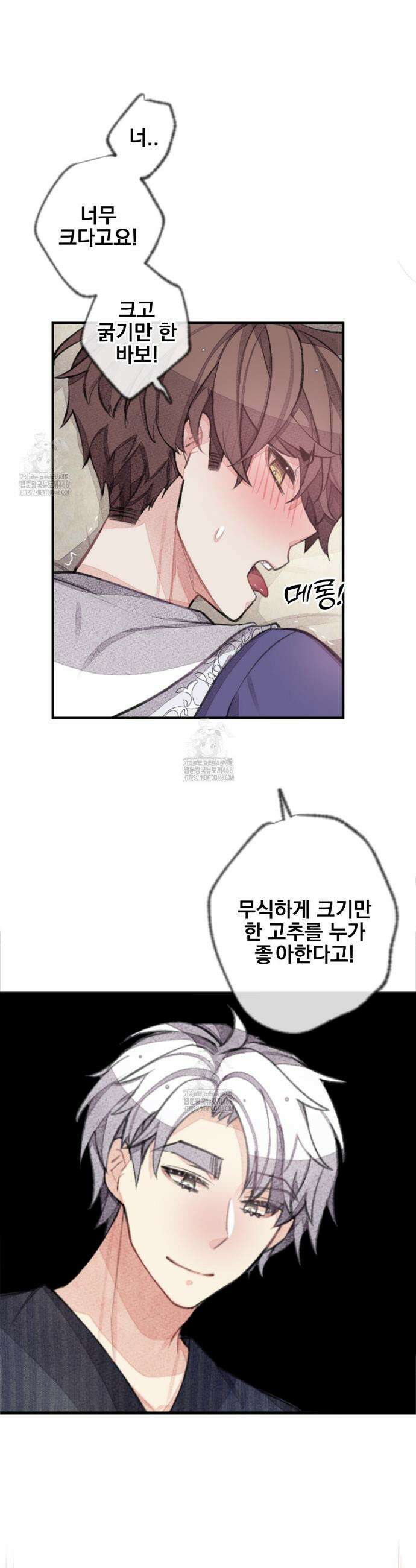 미스터 베타 87화 15