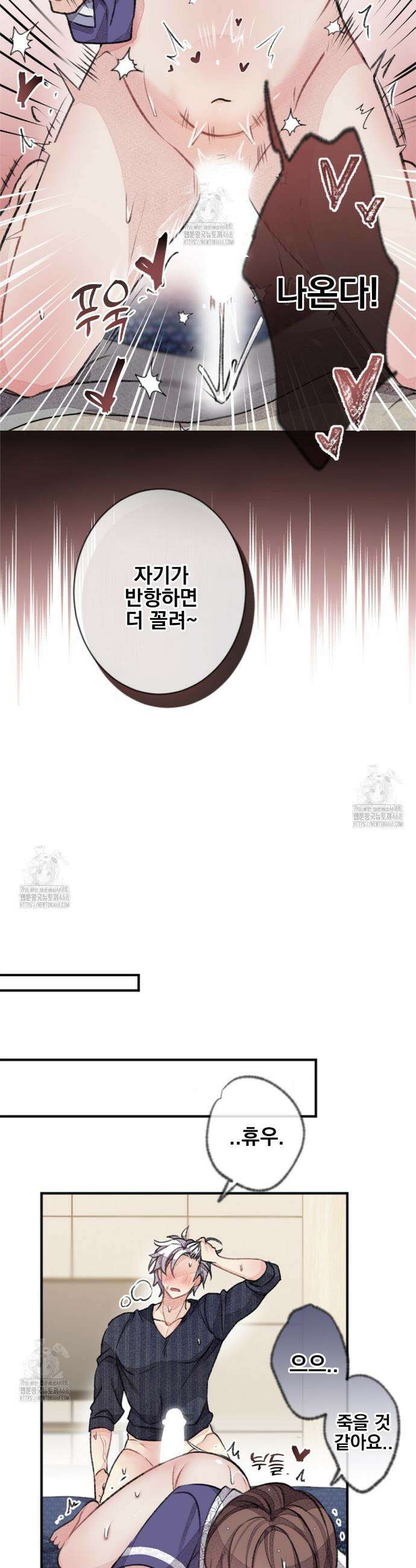 미스터 베타 87화 17