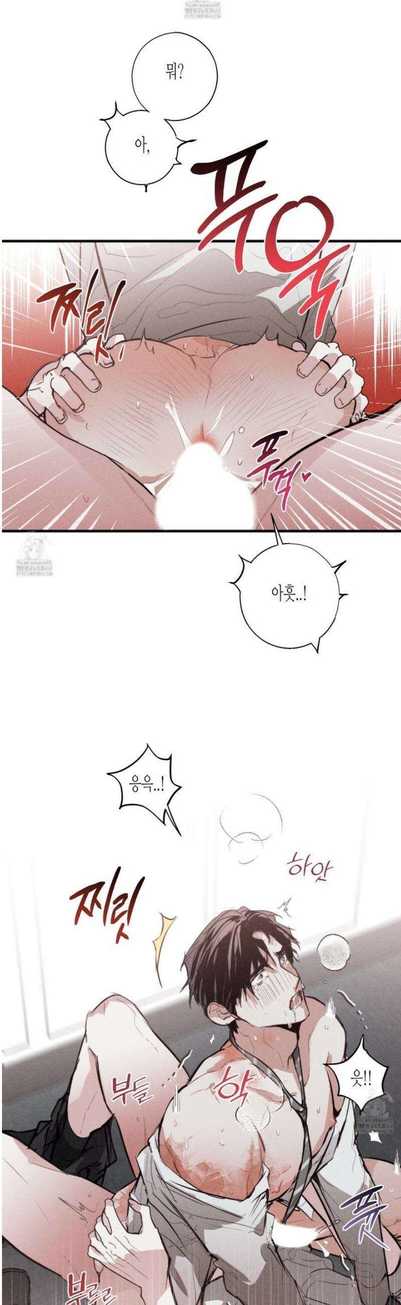줄다리기의 법칙 36화 19