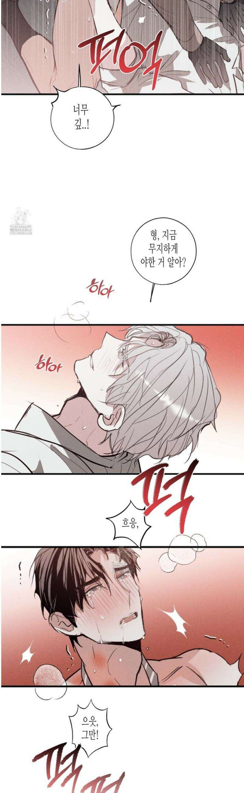 줄다리기의 법칙 36화 20