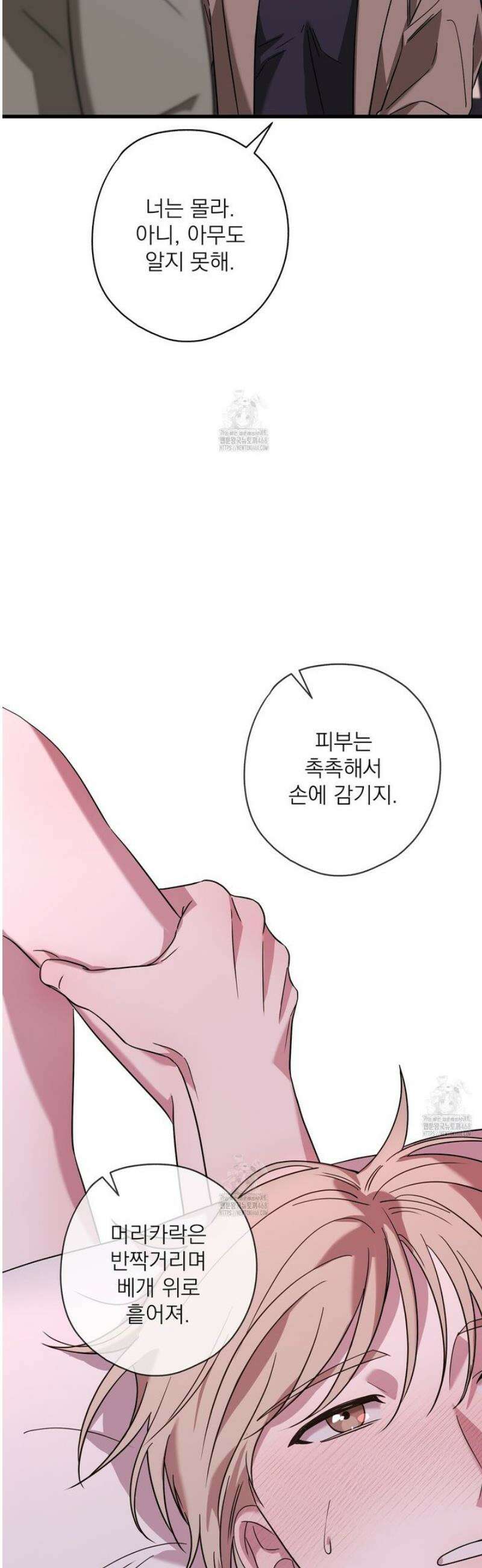 캔디 계약서 외전 3화 39