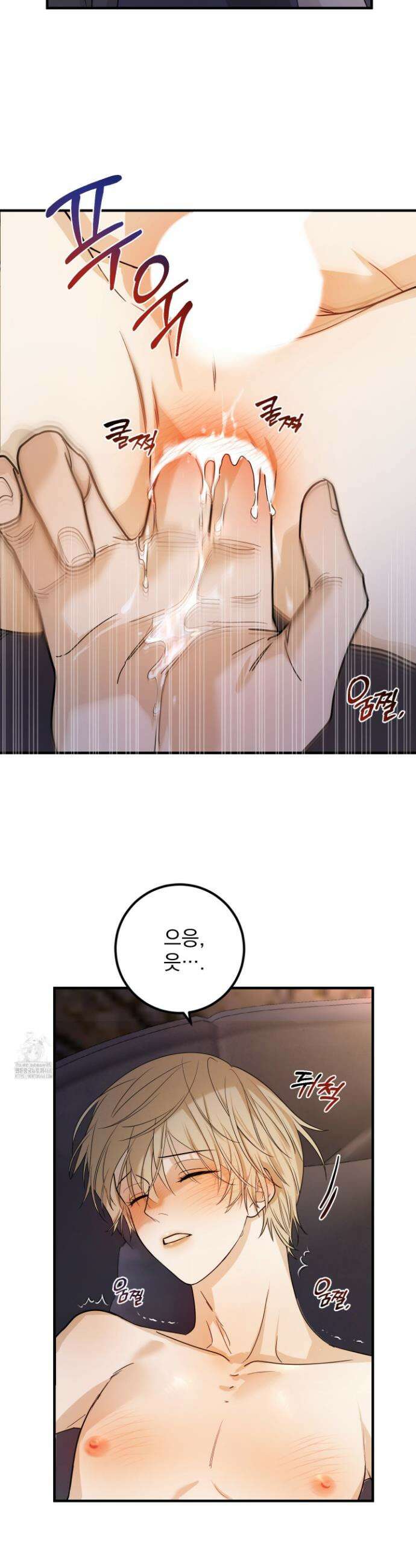 웨스터마크 효과 3화 4