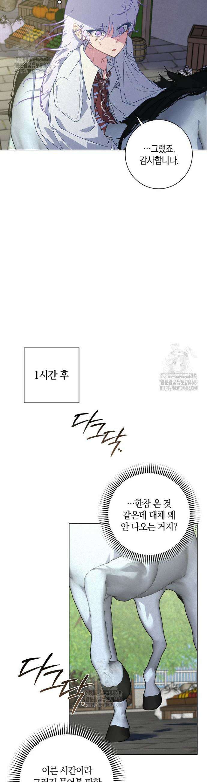 세이안 14화 5