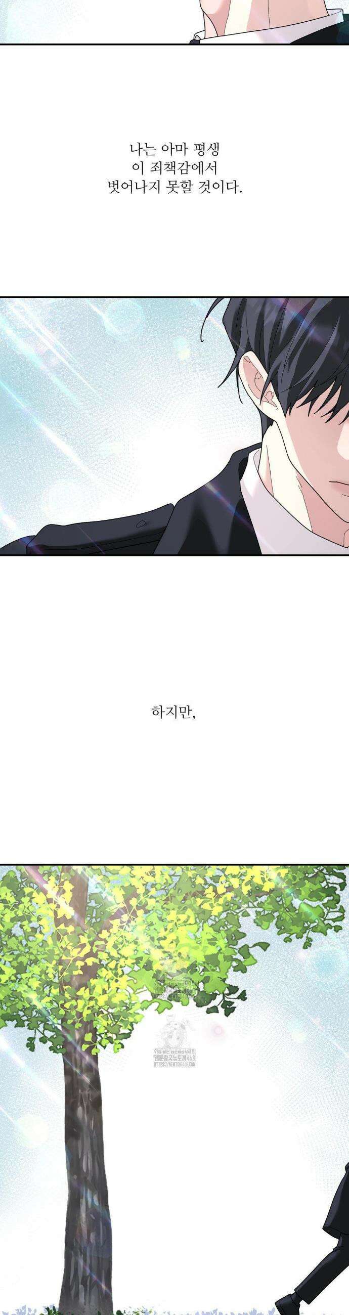 뿌리 없는 나무 94화 21