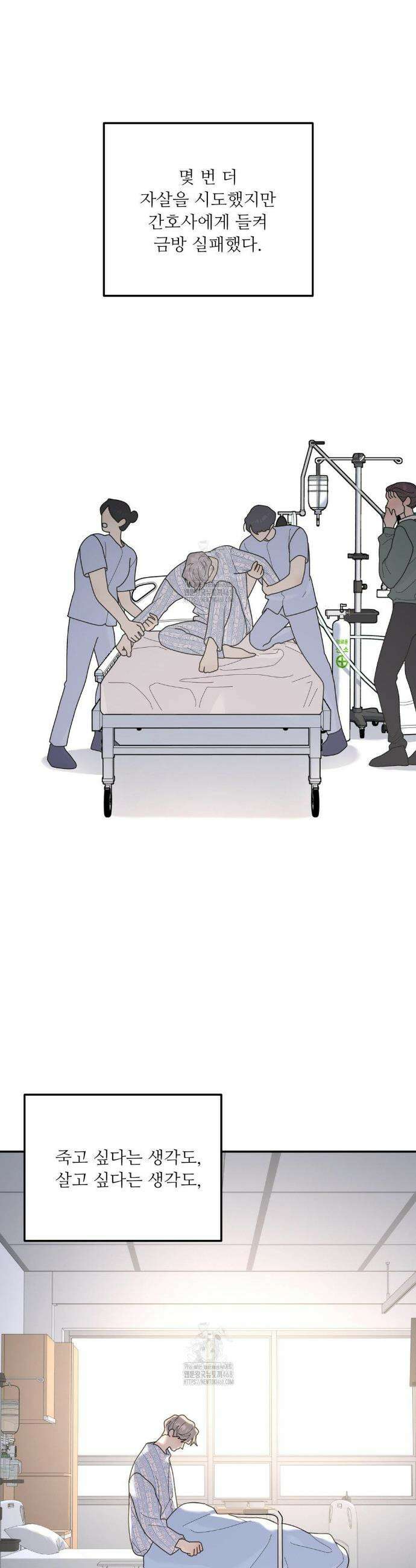 뿌리 없는 나무 96화 3