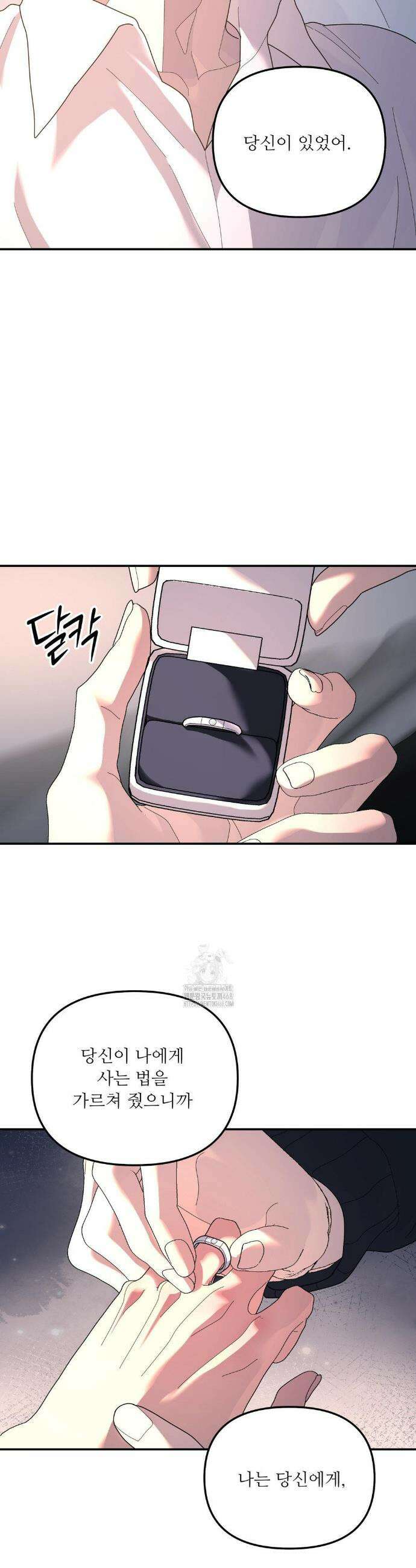 뿌리 없는 나무 96화 24