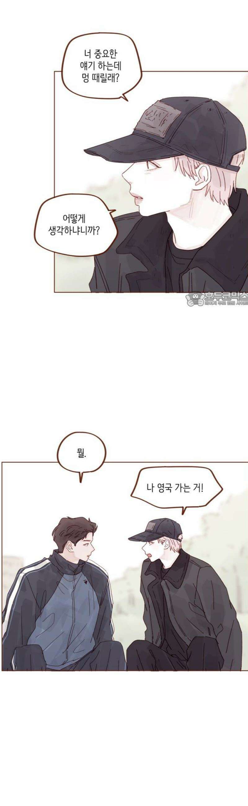 홍시는 날 좋아해 332화 : 가지 말라고 해줘 11