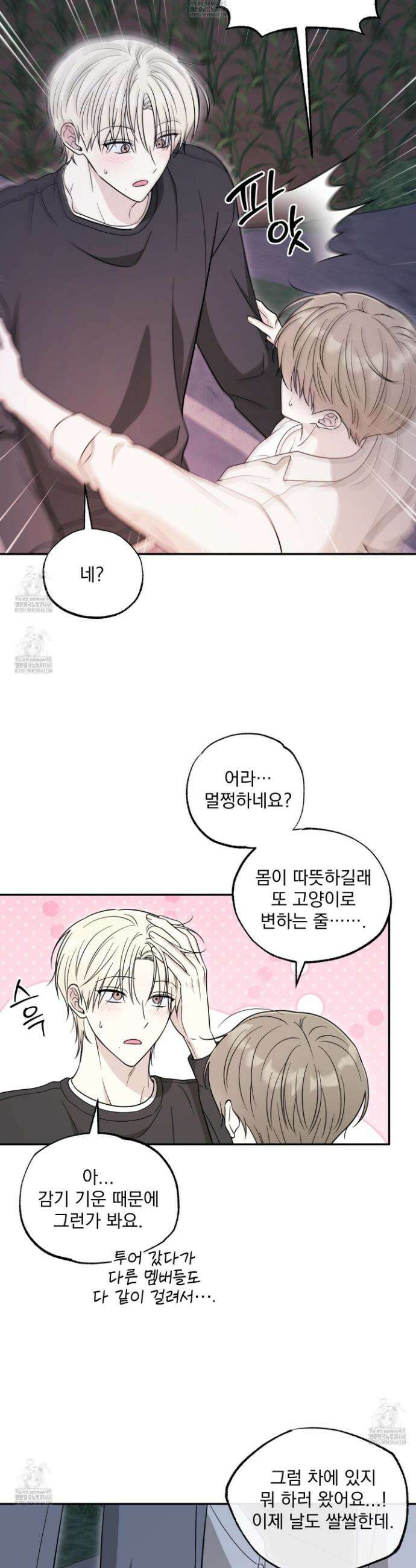 냥자친구 길들이기 22화 3