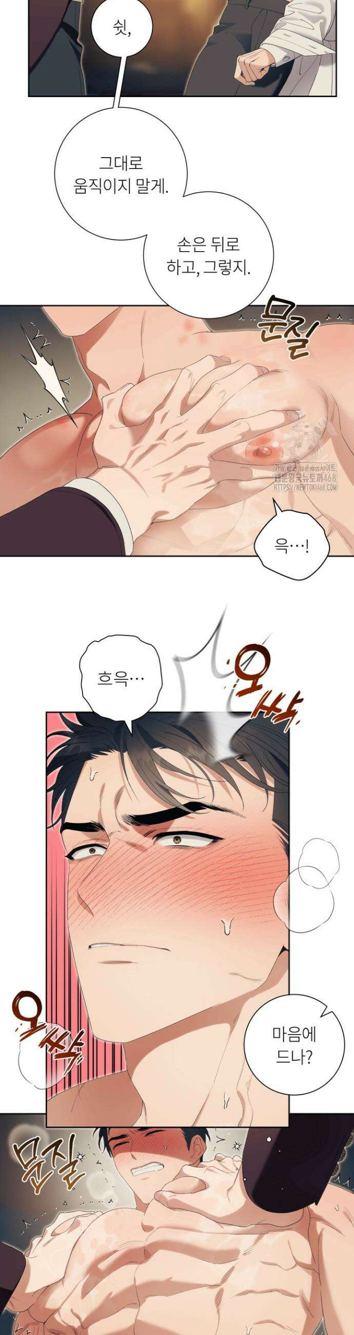 파테라 11화 5