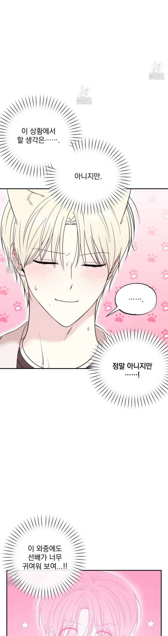 냥자친구 길들이기 23화 3