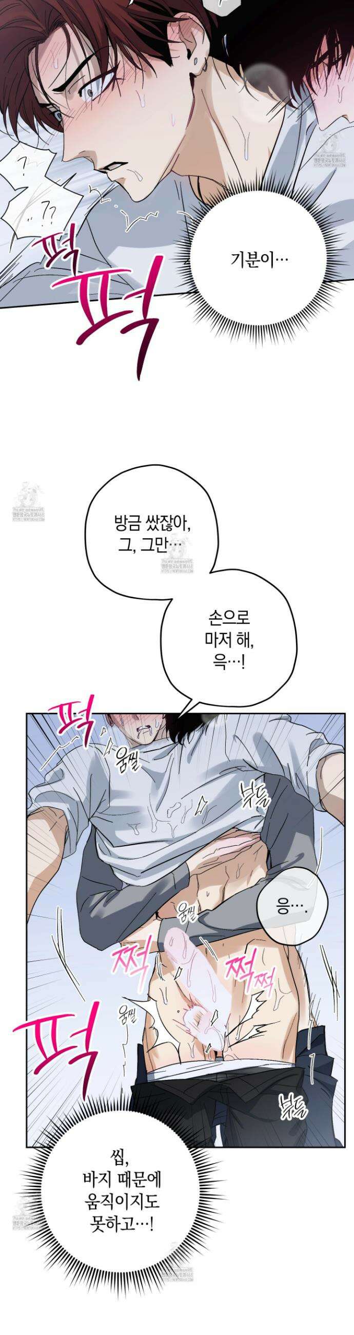 호호상박 12화 3