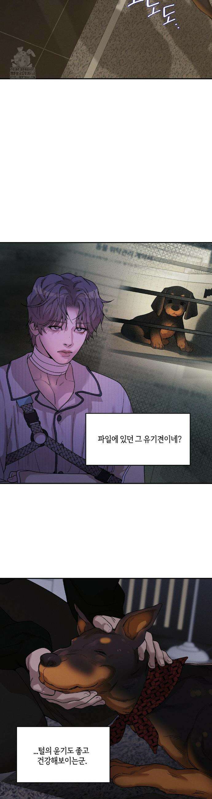 조개소년 : 발화 18화 19