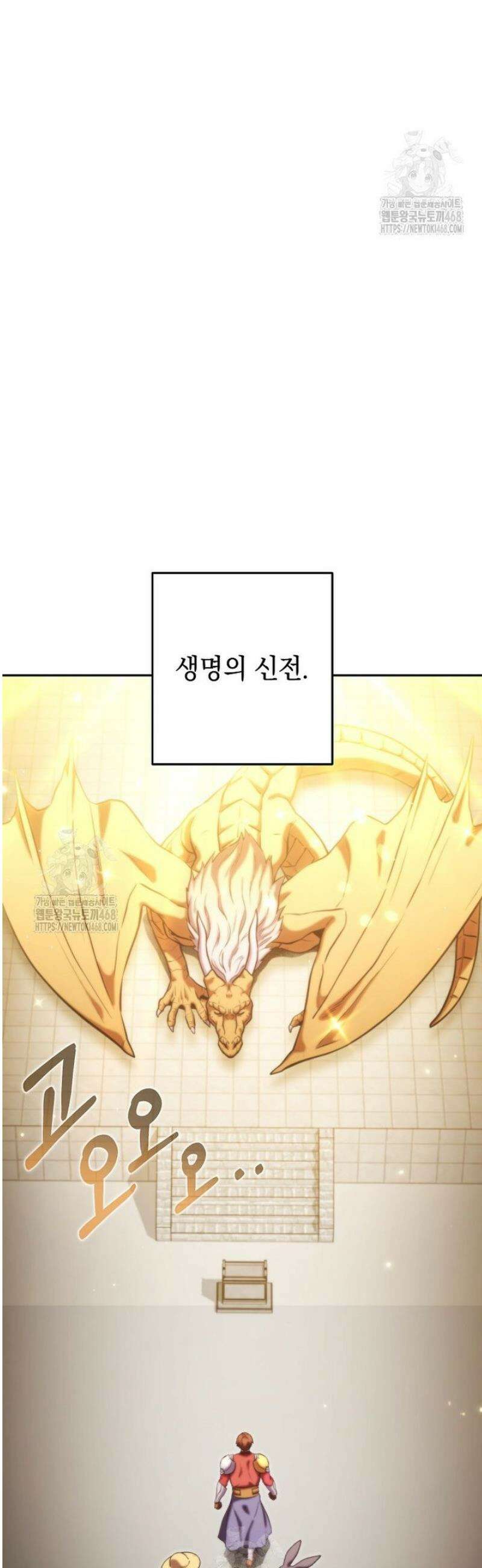 던전 리셋 265화 12