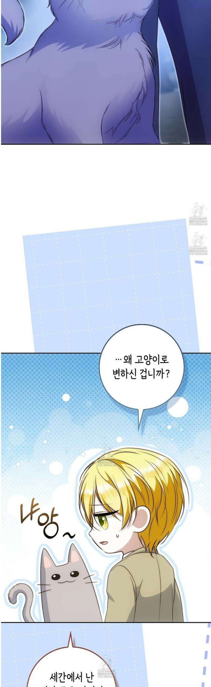 가짜 집착광공에게 집착하는 진짜들 28화 61