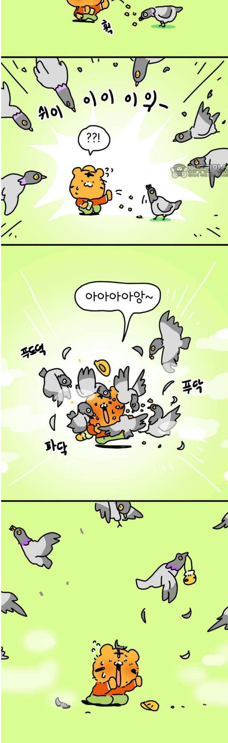 소심한 호랭이 코코 52화 멋돌이 타이거 (1) 9