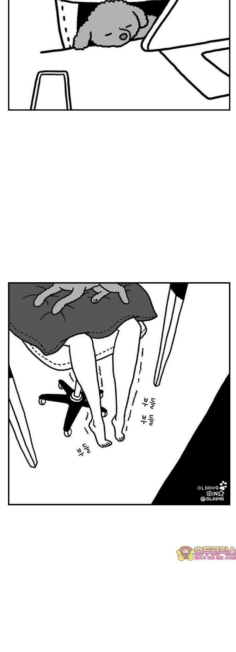펫로스클럽 ＃2． 노루야 노루야 34