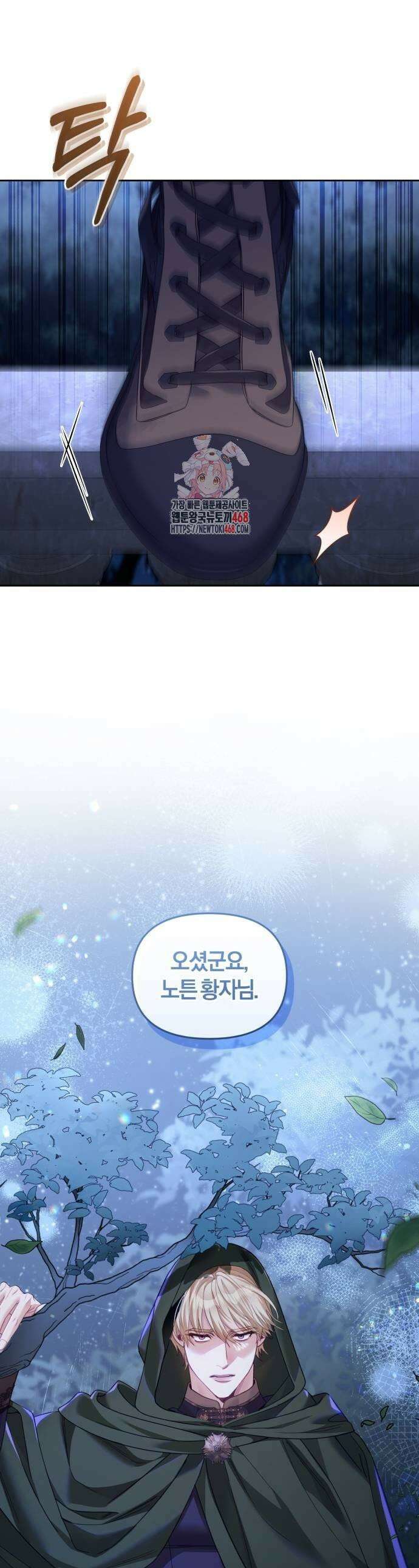 대리 황후지만 첫날밤을 보내버렸다 38화 1