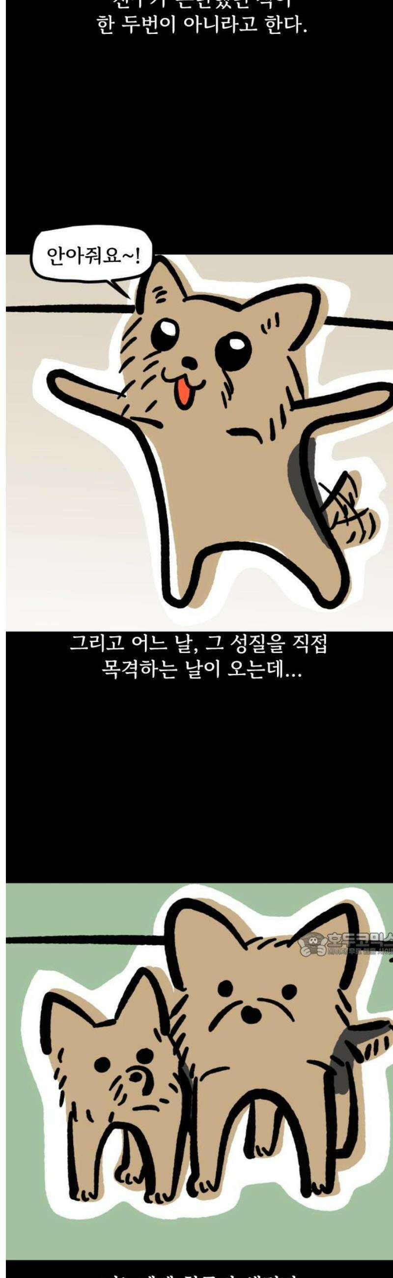 개집사 129화: 알바일지?견종특집?(2) 10
