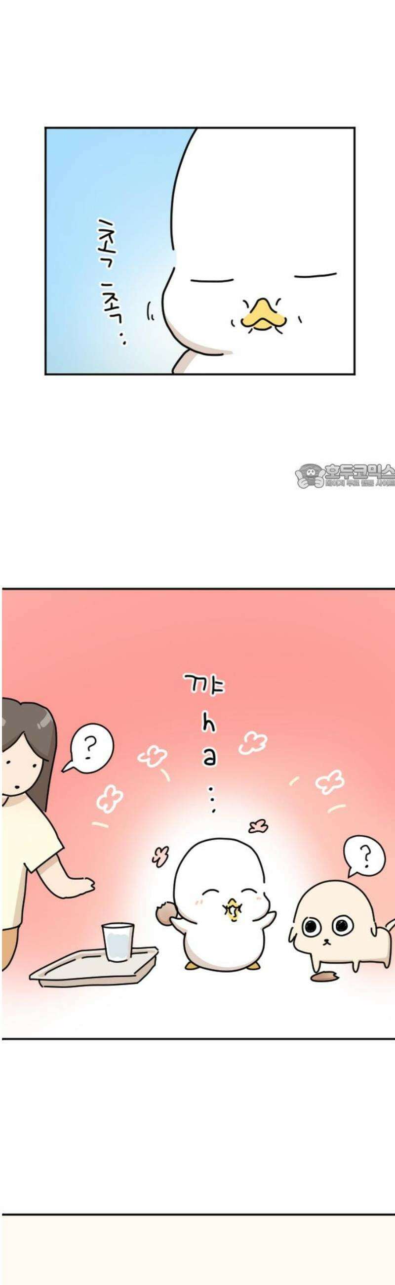오리짱! 4화 함께 살게 되기까지(4) 11