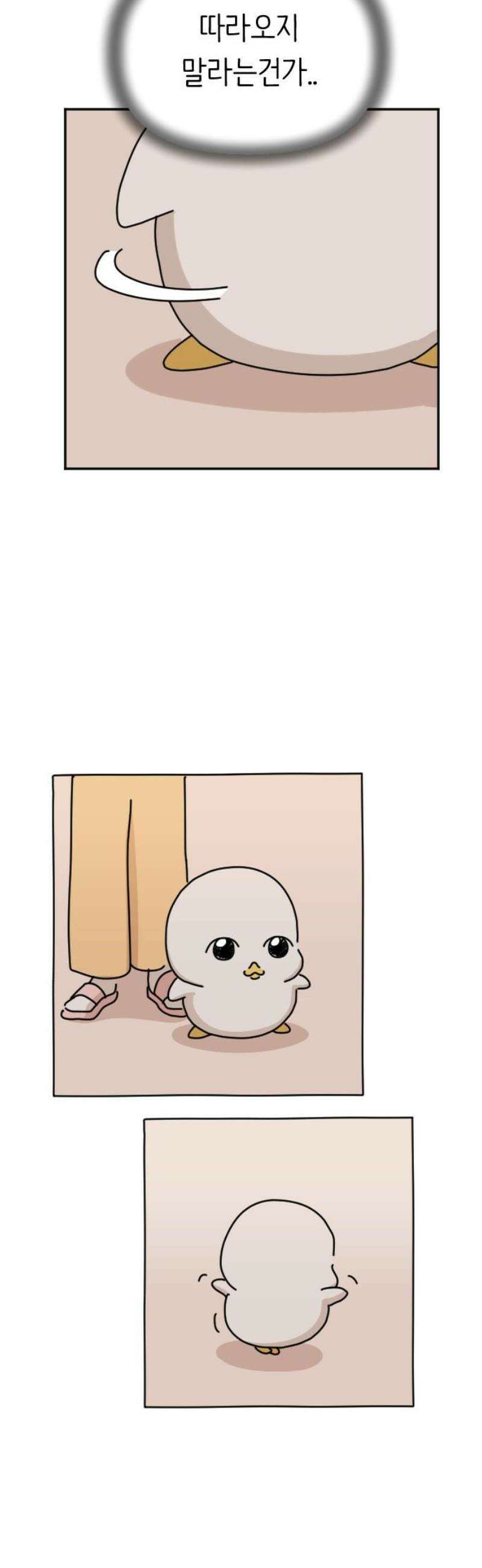 오리짱! 4화 함께 살게 되기까지(4) 42