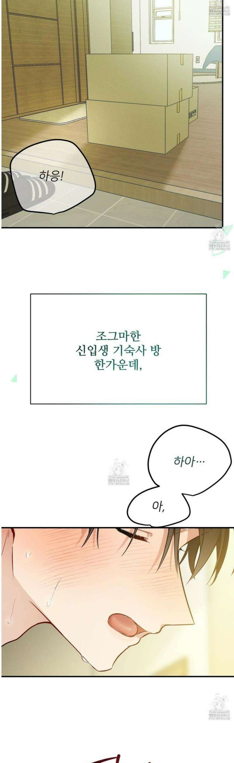 아기 삵을 낳아줘, 나 미치는 꼴 보기 싫으면! 1화 13