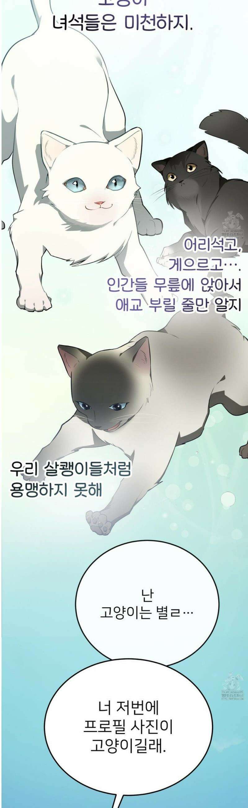아기 삵을 낳아줘, 나 미치는 꼴 보기 싫으면! 6화 14