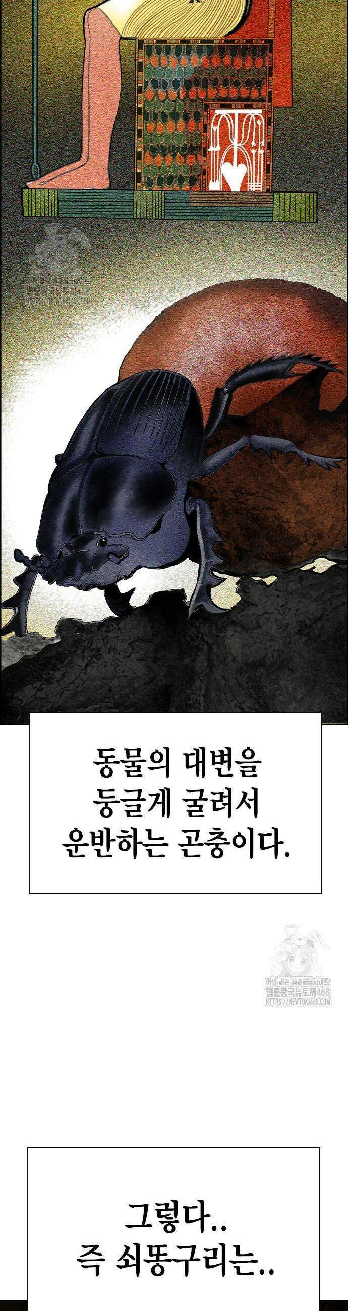 정글쥬스 시즌3 41화 7